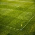 Soccer and Horse Race: Similarities and Betting Markets